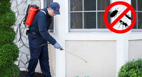 Kent 2 Böcek İlaçlama böcek ilaçlama ve haşere kontrolü — ilaclama-tr.com